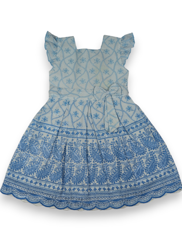 Paisley Embroidered Dress