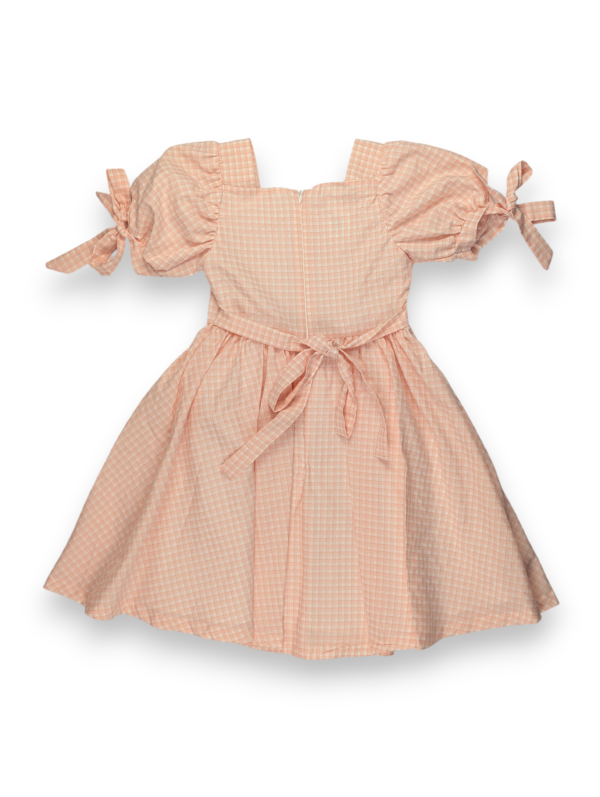 PXL_20260607_161701659 Meadow Breeze Checkered Dress
