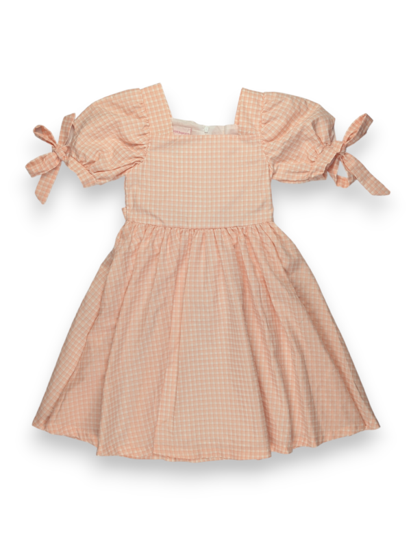 Meadow Breeze Checkered Dress